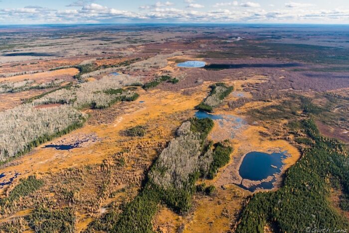An aerial image of the proposed mine site that will now remain intact (photo by Garth Lenz)