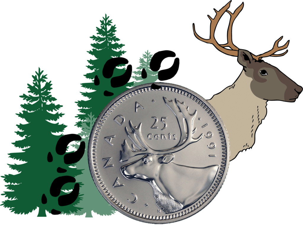 Saving caribou, inch by inch