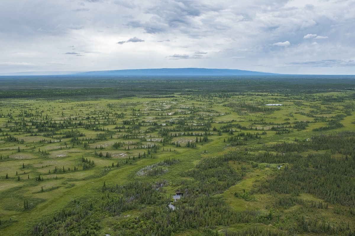 The diverse landscape of Edéhzhíe. “It will be a gift for the future,” said Dehcho Elder Jonas Antoine in an interview with the Indigenous Leadership Initiative. Photo courtesy of Ducks Unlimited Canada.