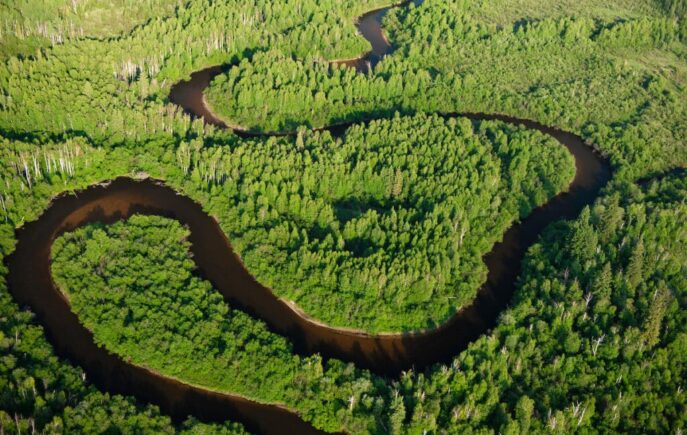 Peace Athabasca Delta