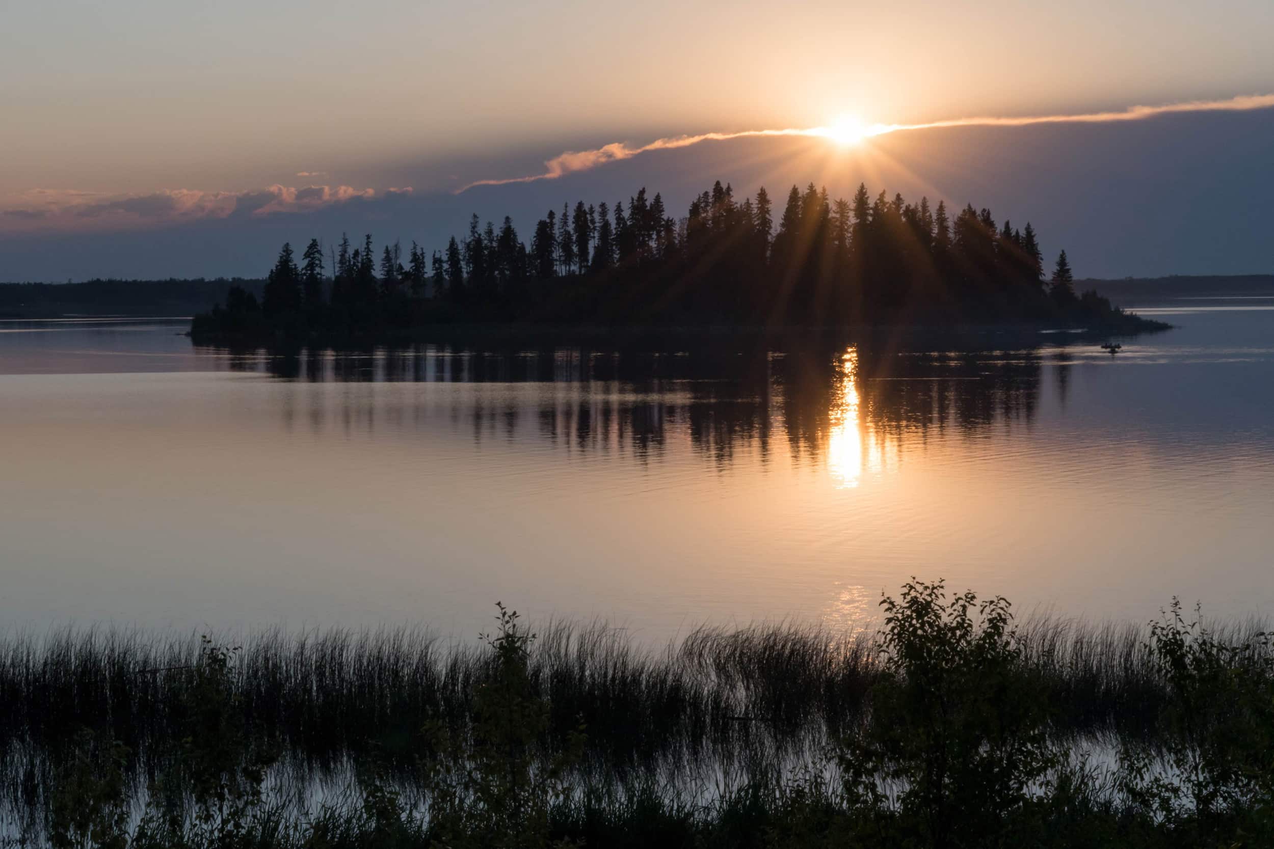 Featured image for “Elk Island National Park needs your voice!”