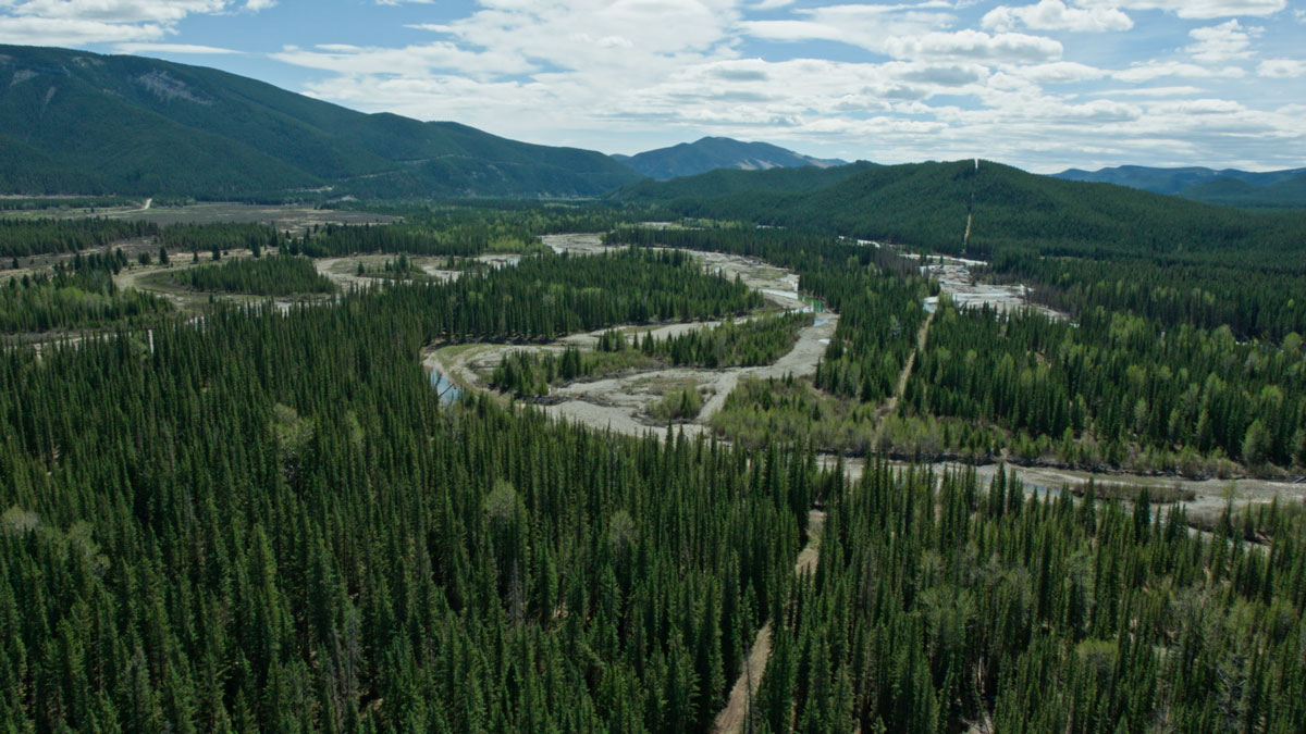 Coal Mining Impacts our Communities & Headwaters
