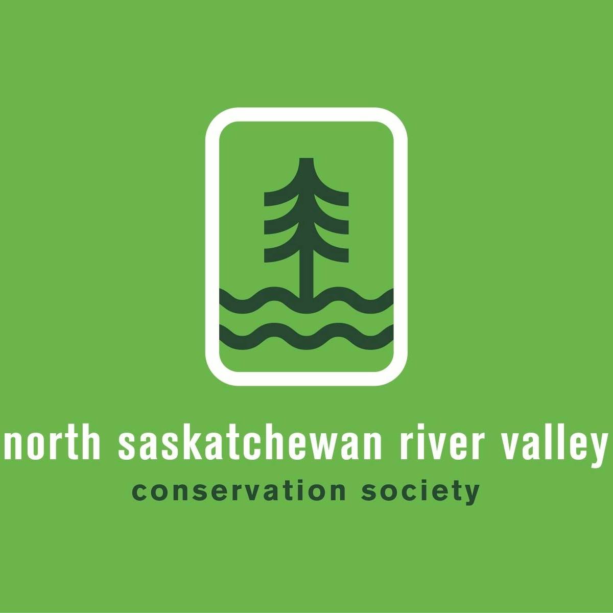 NSRVCS logo