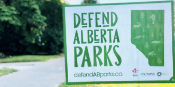 Featured image for “Province releases survey on the development of a new strategic vision for recreation and conservation in Alberta’s provincial parks ”