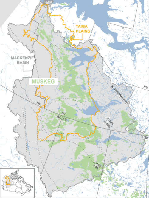 Muskeg and permafrost extent in the Taiga Plains