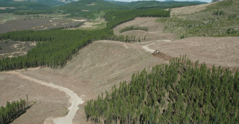 Featured image for “Moratorium On Coal in Alberta Removed, Quietly Announced in the Middle of Grassy Mountain Mine Hearings  ”