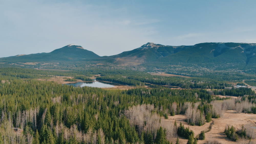 Featured image for “Edmonton Screening of Dry Horizons”