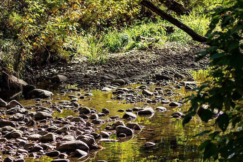 Featured image for “River Valley Walk | Dawson Park”
