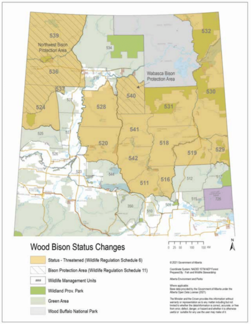 Screenshot 2025-06-19 at 2.24.18 PM Wildlife Management Units (WMU) where wood bison will be provided “Threatened” status include all areas where there are disease-free free-ranging wood bison herds, as well as areas in between herds, covering much of northern Alberta. The regulatory protections will not apply in southern Alberta, where domestic bison ranches mean wood bison are considered ‘livestock’