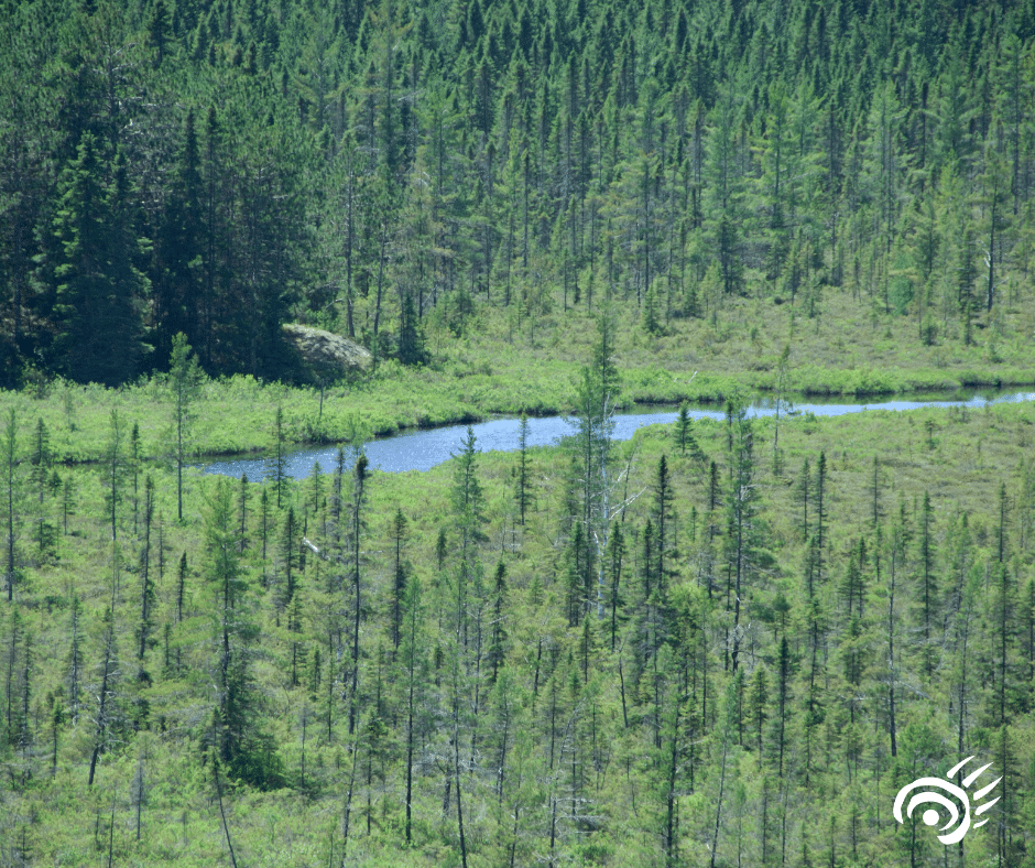 Featured image for “CPAWS Northern Alberta celebrates legal protection of Gipsy Gordon Wildland Provincial Park!”
