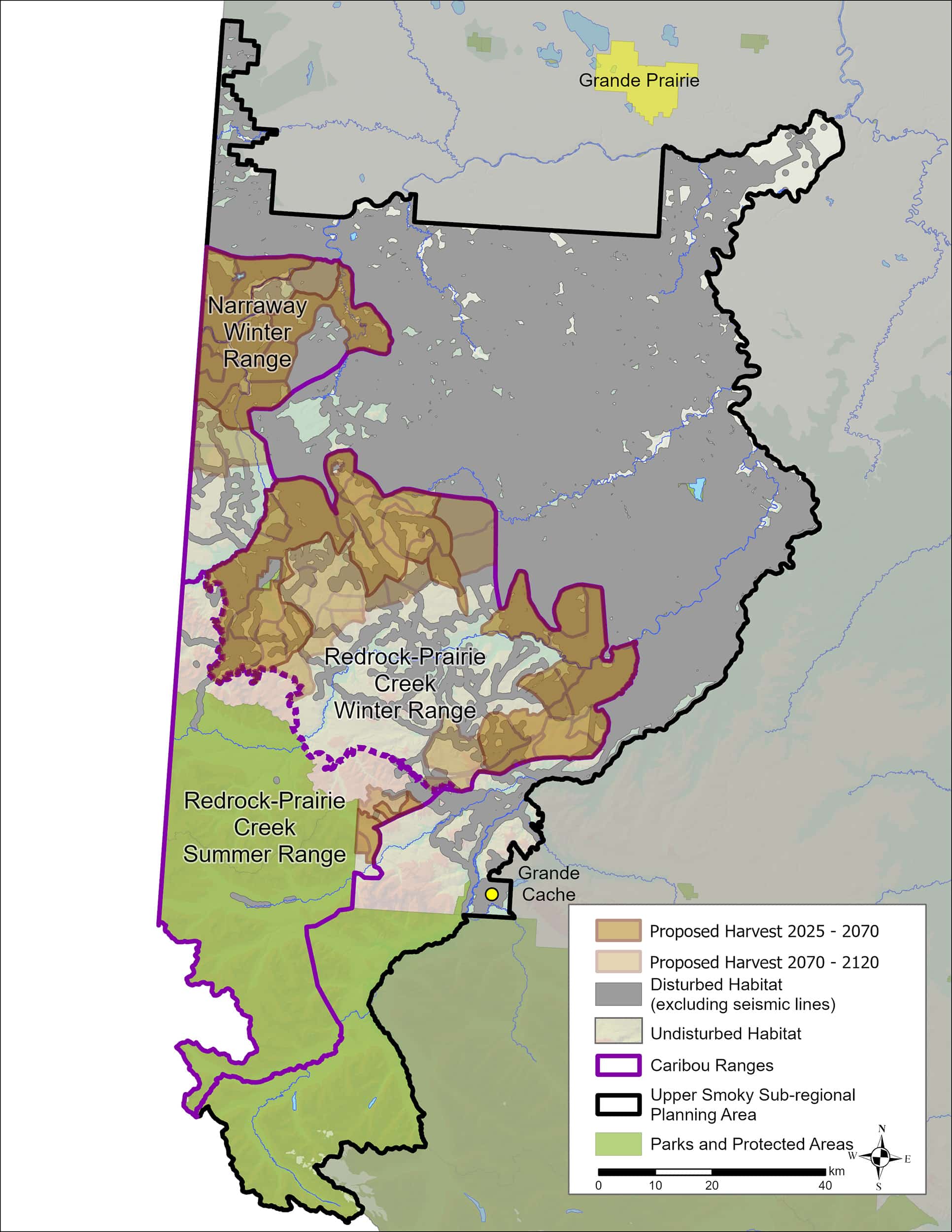Existing Habitat disturbance and undisturbed critical habitat in Redrock-Prairie Creek and Narraway Southern Mountain Caribou winter ranges and planned timber cutting areas (in brown) in the Redrock-Prairie Creek and Narraway southern mountain caribou winter range. Habitat disturbance depicted from long lasting human development features, including timber cut blocks, roads, pipelines and powerlines, with application of 500m buffer. Data from ABMI (2023)-Year 2021.Note: Redrock-Prairie Creek winter range boundary drawn to separate forested foothills from mountains, which is identical to the boundary of Weyerhaeuser’s Forest Management Area.