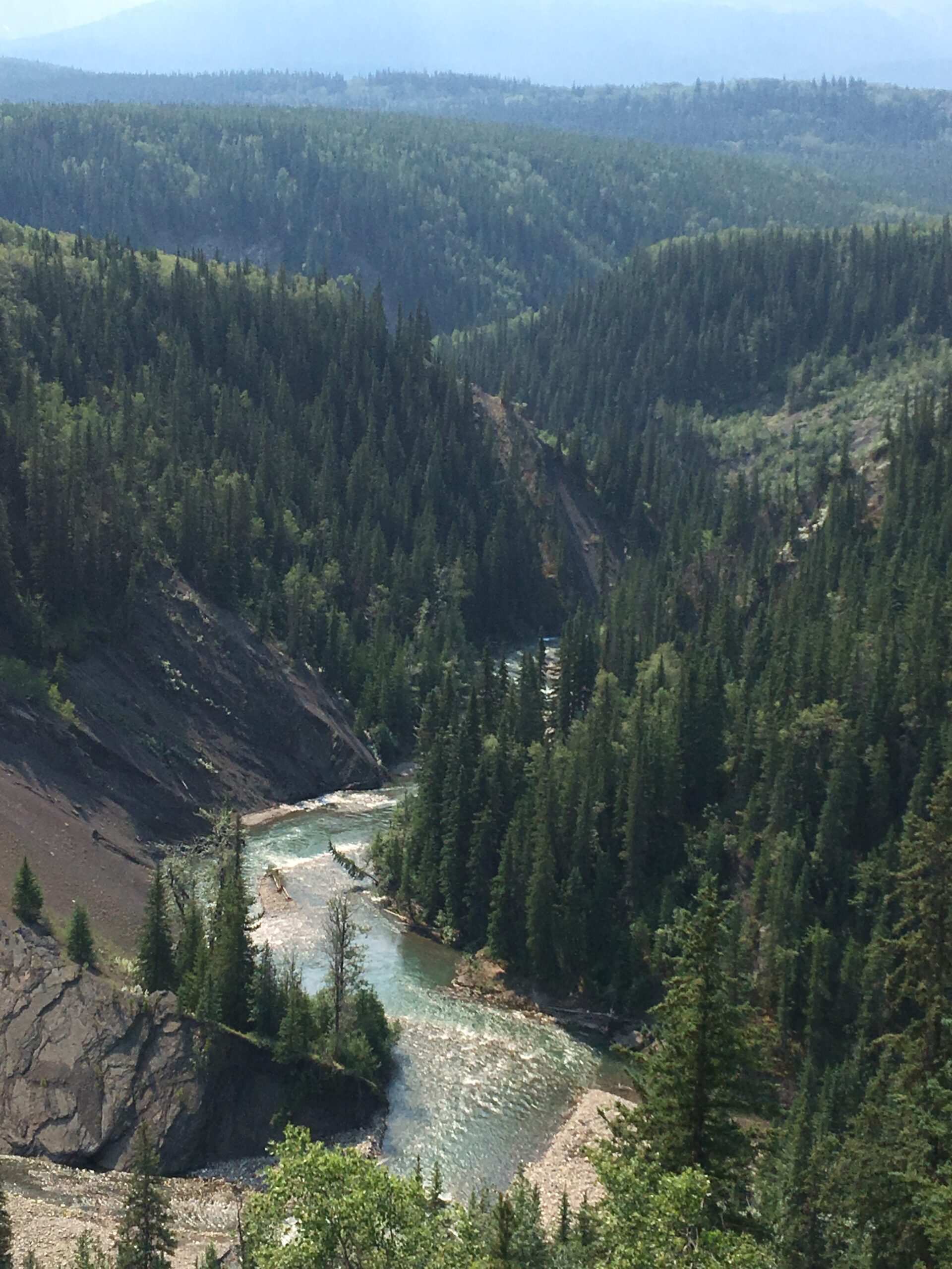 Featured image for “Permission to Appeal Granted: AWA and CPAWS Northern Alberta progress in challenging Alberta Energy Regulator’s Decision to Cancel Public Hearing for a Coal Mine”