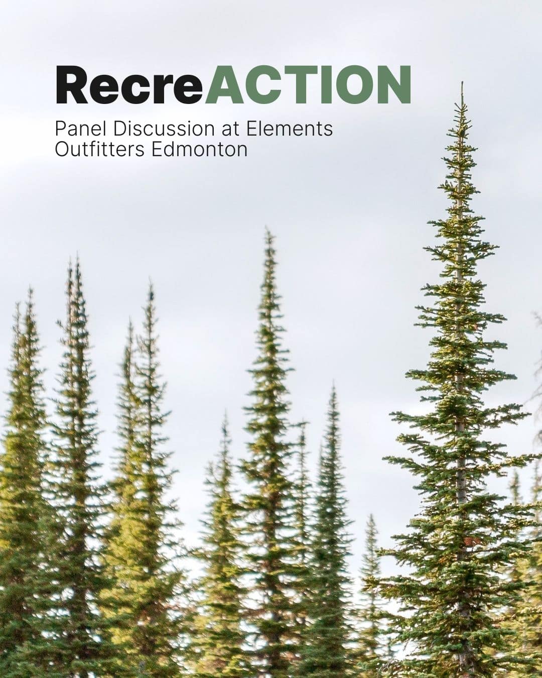 Featured image for “RecreACTION: Panel Discussion”