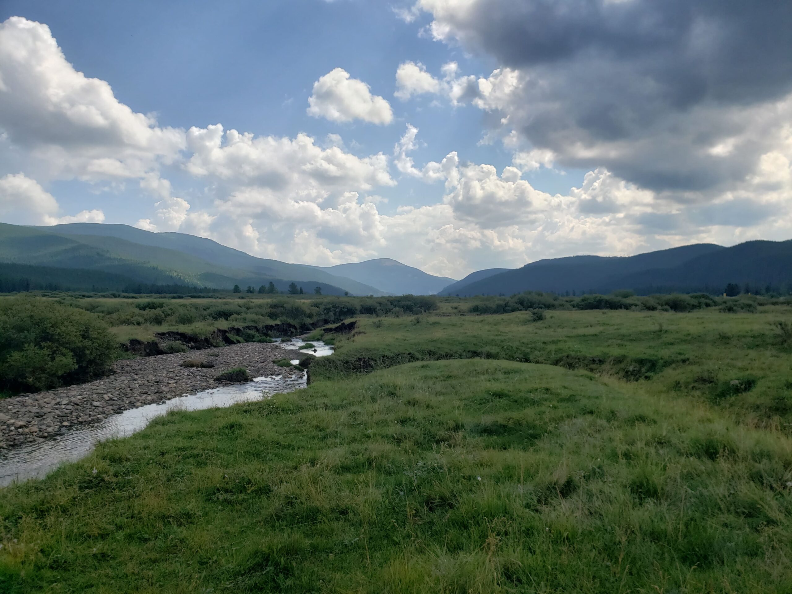 Landscape view of Bighorn Country Region, 2024