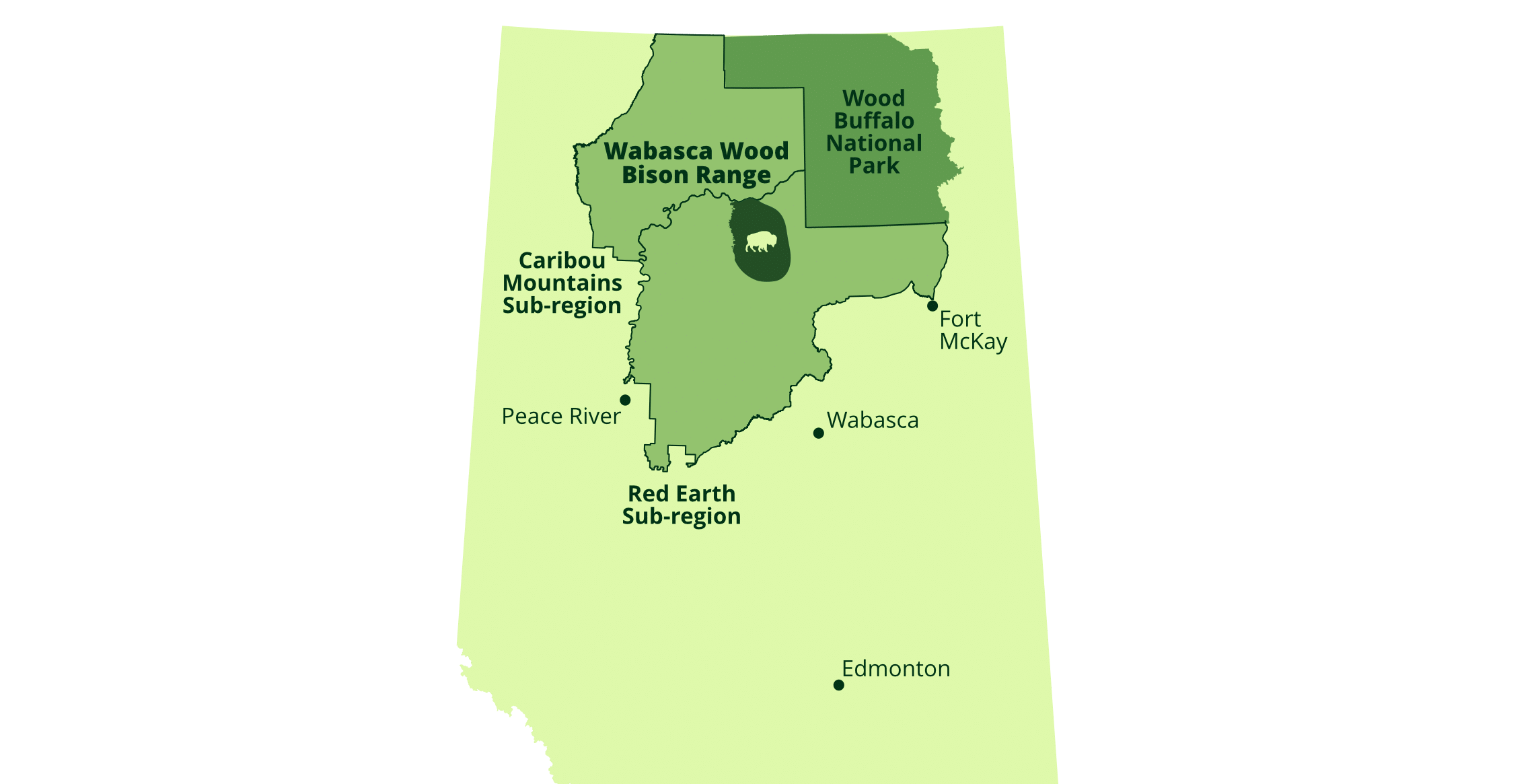 alberta_wood_bison_2026